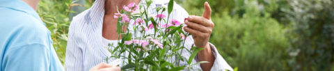 Woman inspecting a plant