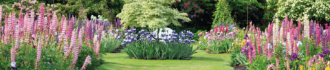 Landscaped garden with flower boarders