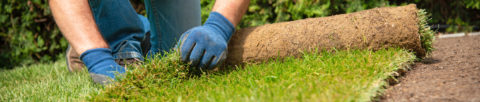 Person laying turf